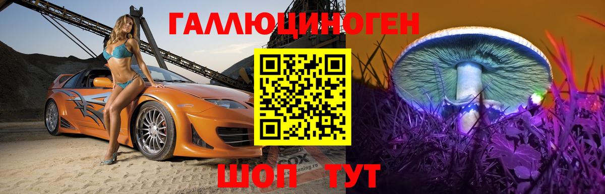 Аргун  Галлюциногенные грибы Magic Shrooms  как найти   Вход с VPN 